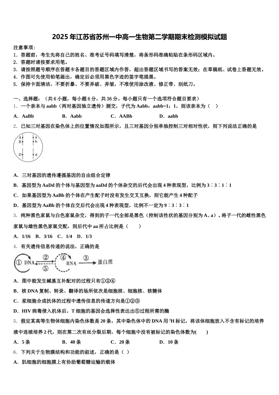 2025年江苏省苏州一中高一生物第二学期期末检测模拟试题含解析_第1页