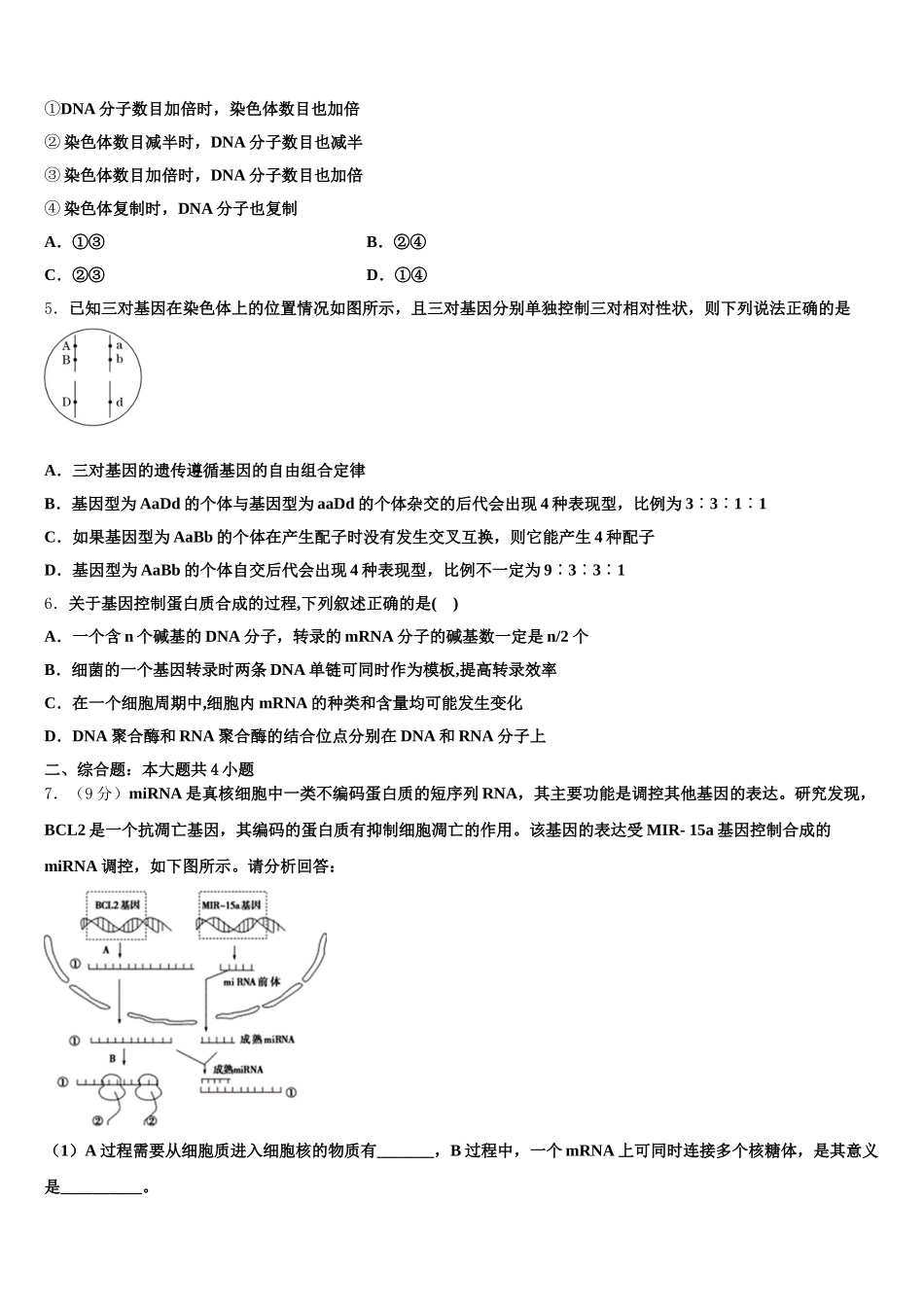 江苏省连云港市赣榆县海头高级中学2024-2025学年高一下生物期末经典试题含解析_第2页