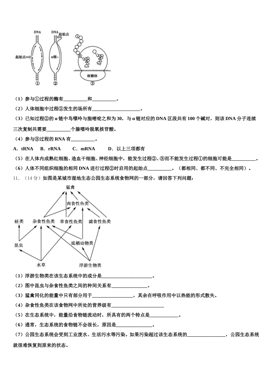 江苏省宿迁市宿迁中学2025届生物高一第二学期期末经典试题含解析_第3页