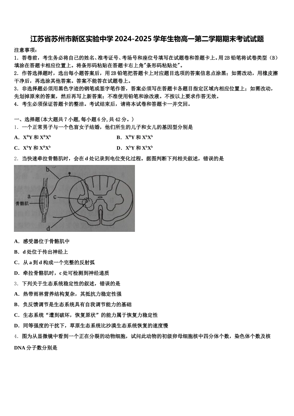 江苏省苏州市新区实验中学2024-2025学年生物高一第二学期期末考试试题含解析_第1页
