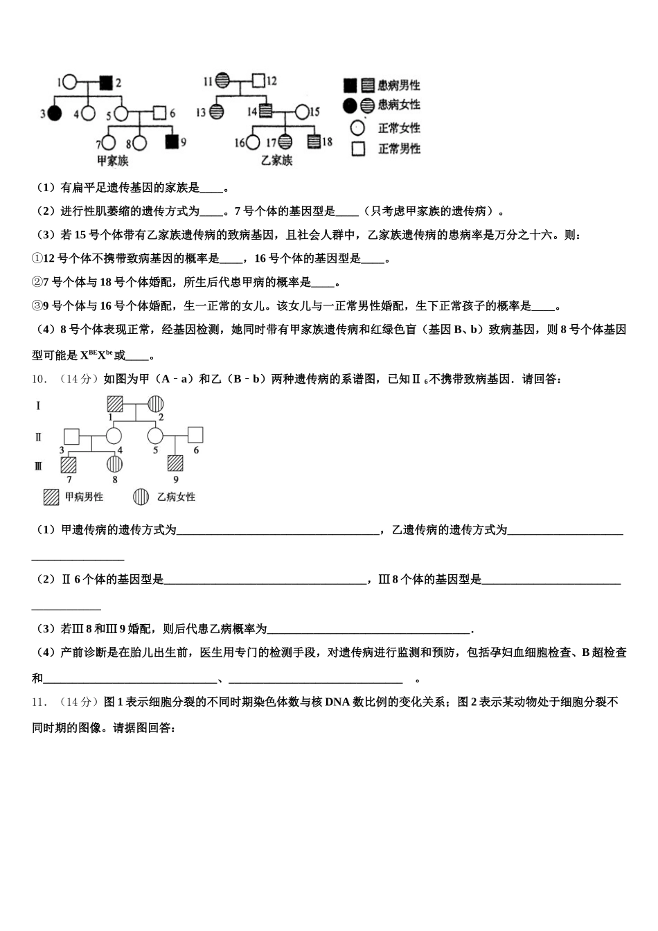2025届江苏省常州市礼嘉中学高一下生物期末考试试题含解析_第3页