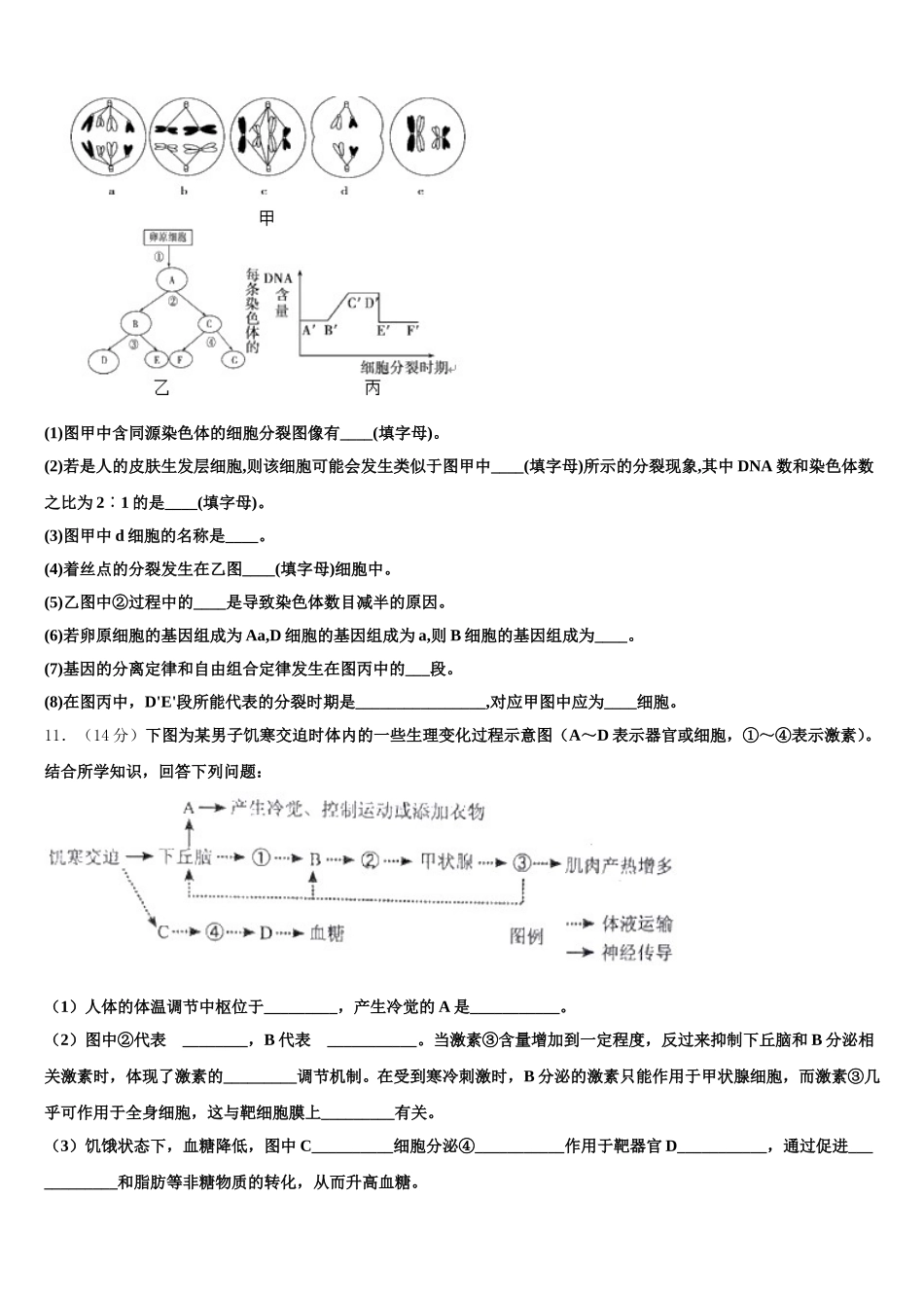 2025年江苏省北大附属宿迁实验学校生物高一第二学期期末质量跟踪监视模拟试题含解析_第3页