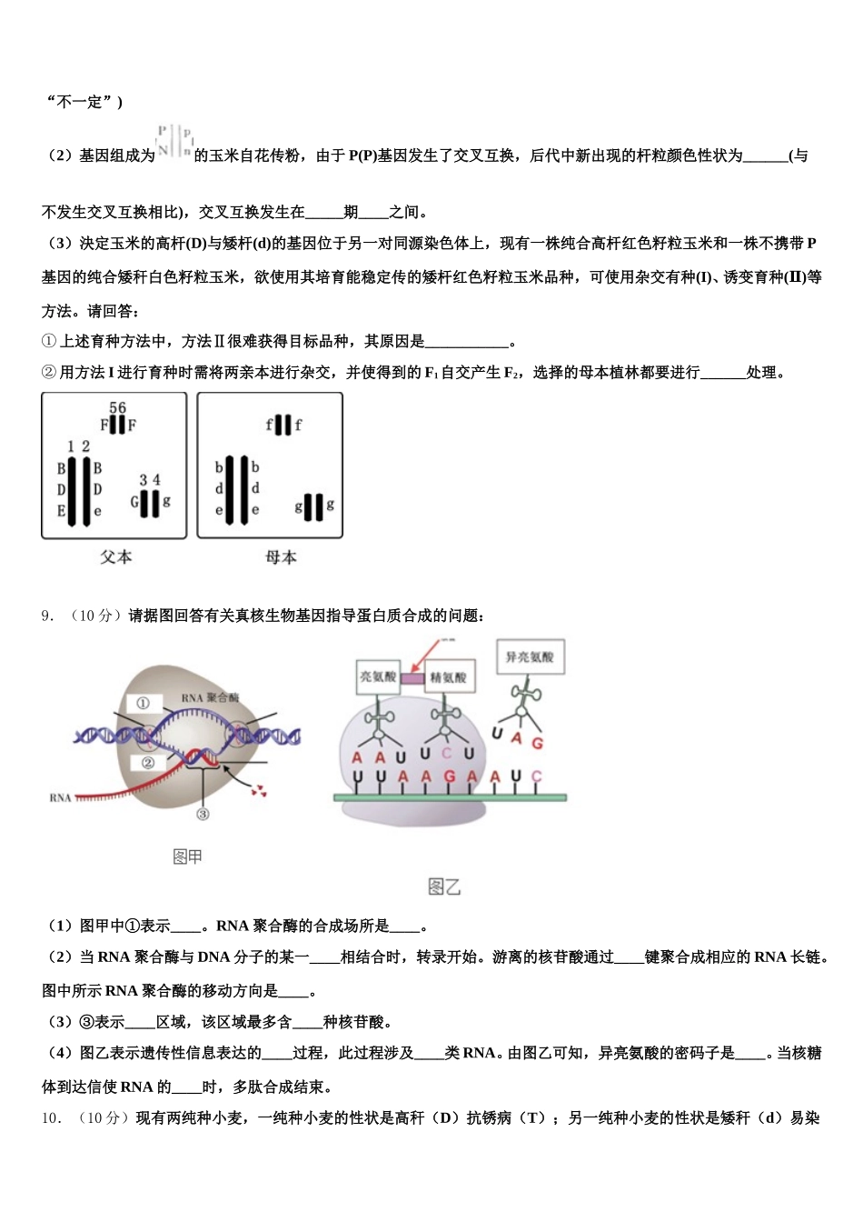 2025届江苏省南通市栟茶高级中学生物高一下期末联考模拟试题含解析_第3页
