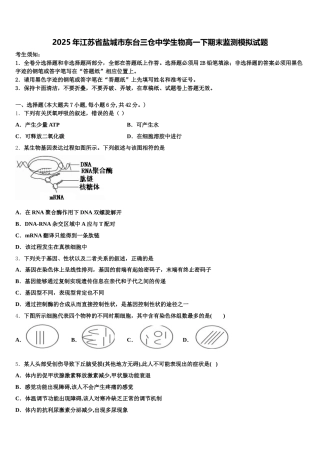 2025年江苏省盐城市东台三仓中学生物高一下期末监测模拟试题含解析