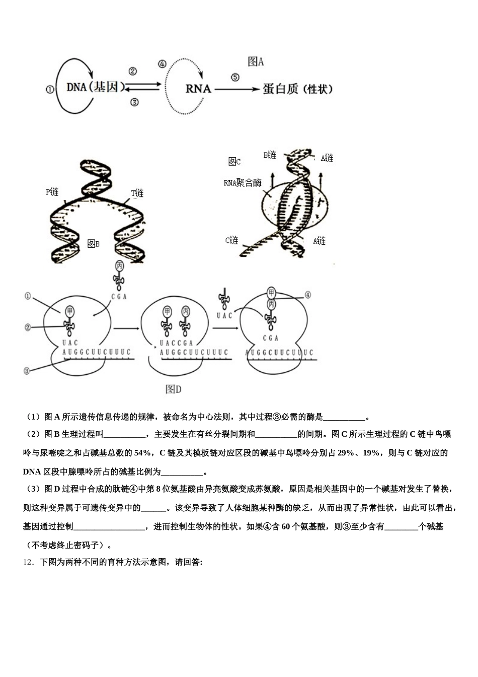 2025年江苏省海州高级中学、海头高级中学高一下生物期末教学质量检测试题含解析_第3页