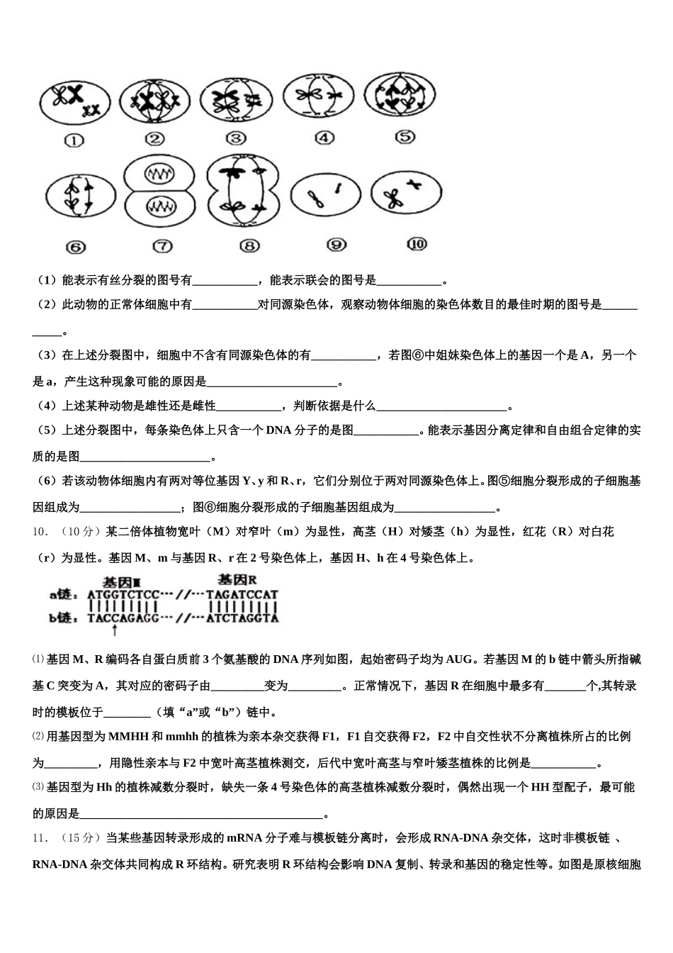 南京市重点中学2025年高一生物第二学期期末达标检测模拟试题含解析_第3页