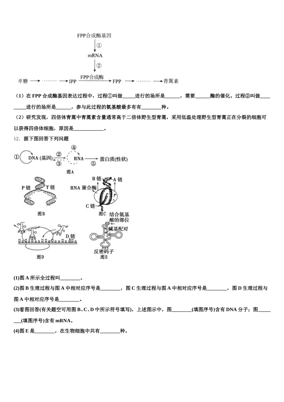 2025年江苏省徐州市睢宁县高级中学高一生物第二学期期末复习检测模拟试题含解析_第3页