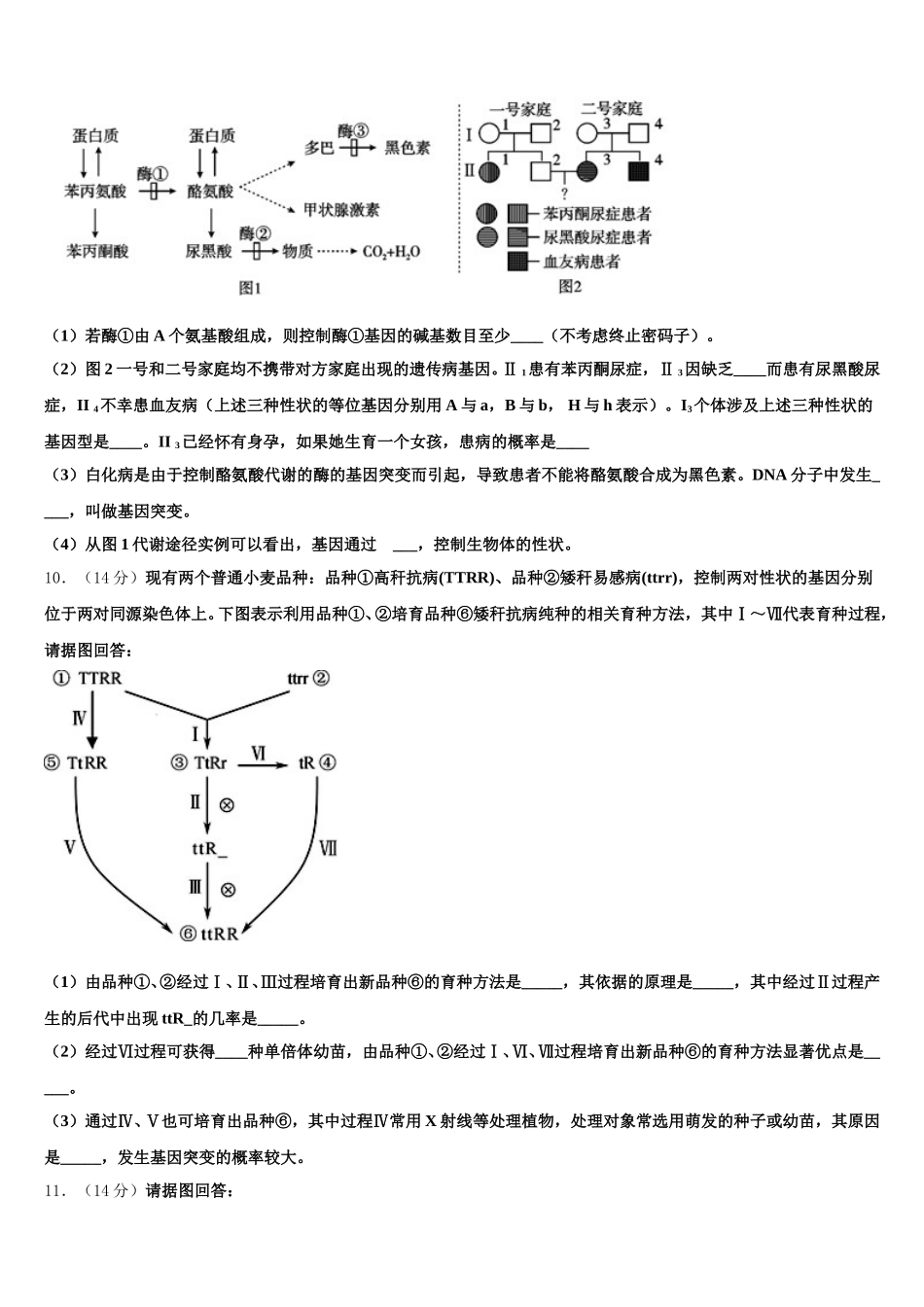 江苏省盐城市东台三仓中学2024-2025学年生物高一第二学期期末达标测试试题含解析_第3页