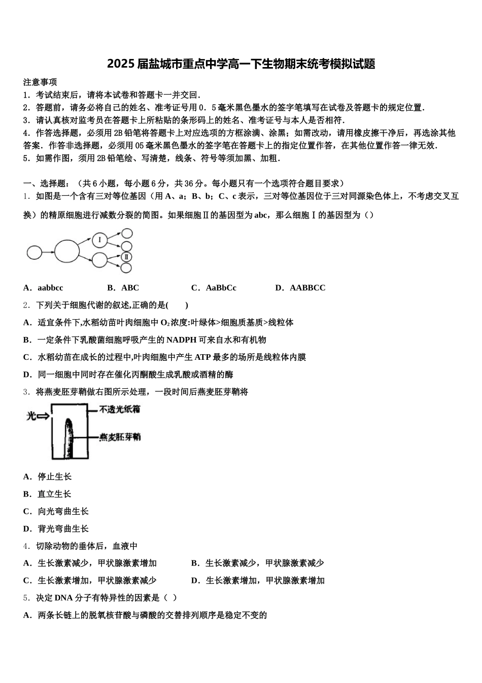 2025届盐城市重点中学高一下生物期末统考模拟试题含解析_第1页