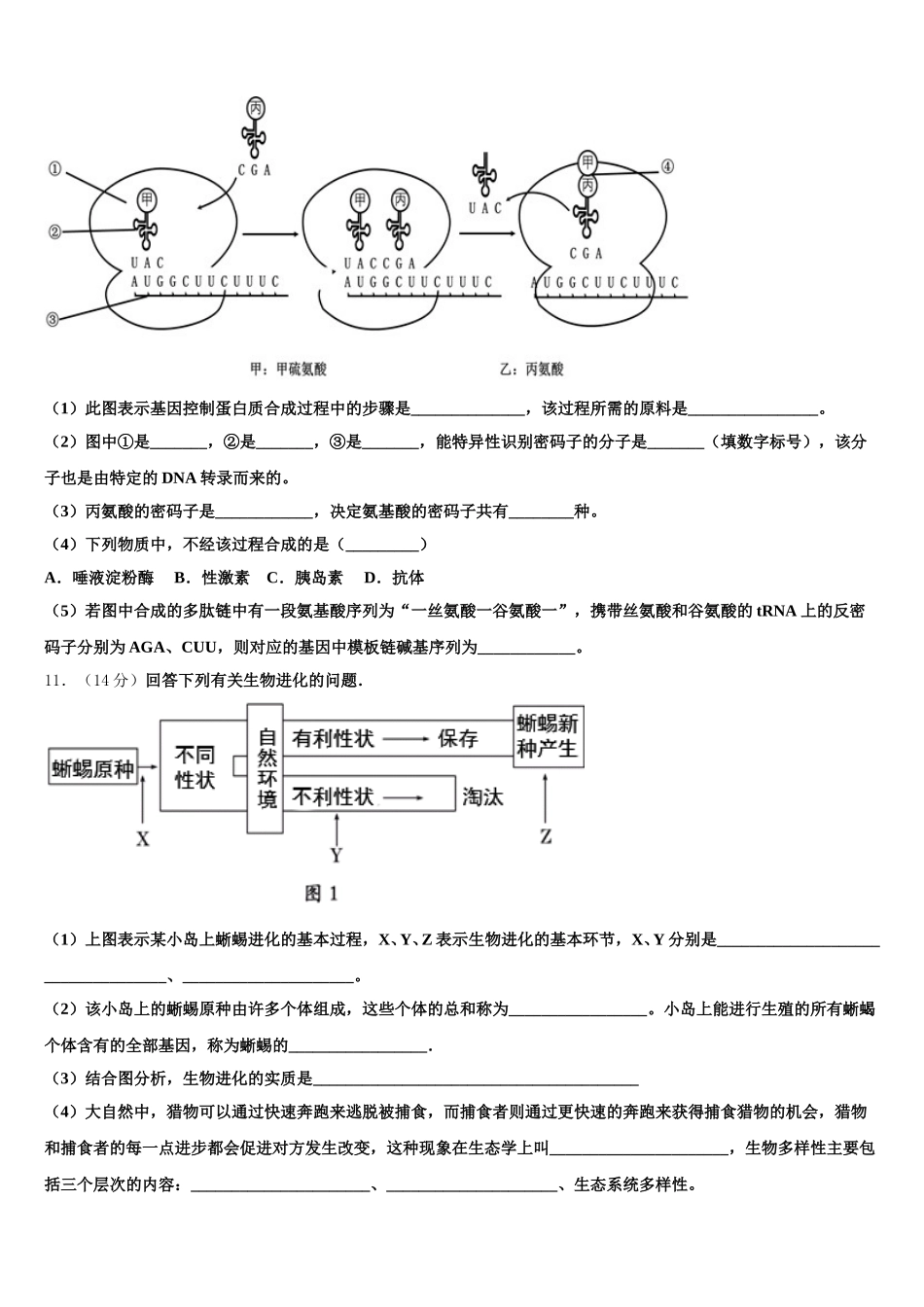 2025届江苏省宿迁市马陵中学高一生物第二学期期末复习检测试题含解析_第3页
