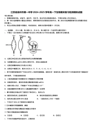 江苏省徐州市第一中学2024-2025学年高一下生物期末复习检测模拟试题含解析