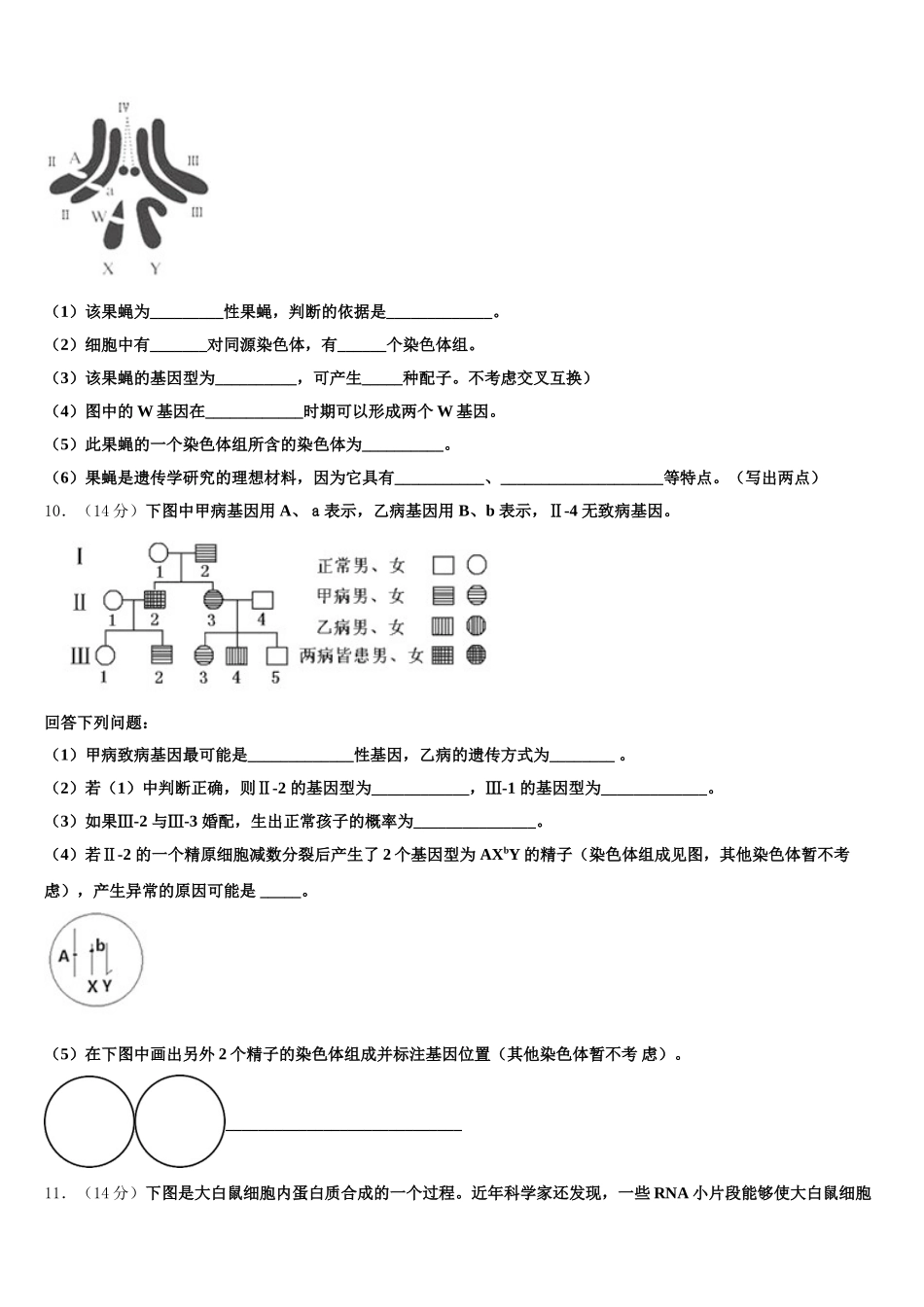 2025届江苏省前黄高级中学、溧阳中学生物高一第二学期期末考试试题含解析_第3页