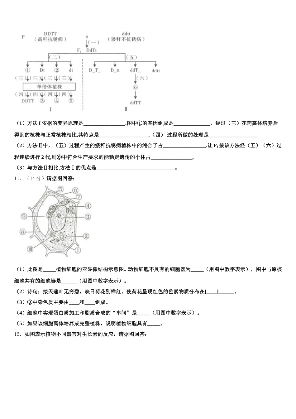 2024-2025学年江苏省宿迁市重点中学高一下生物期末联考试题含解析_第3页
