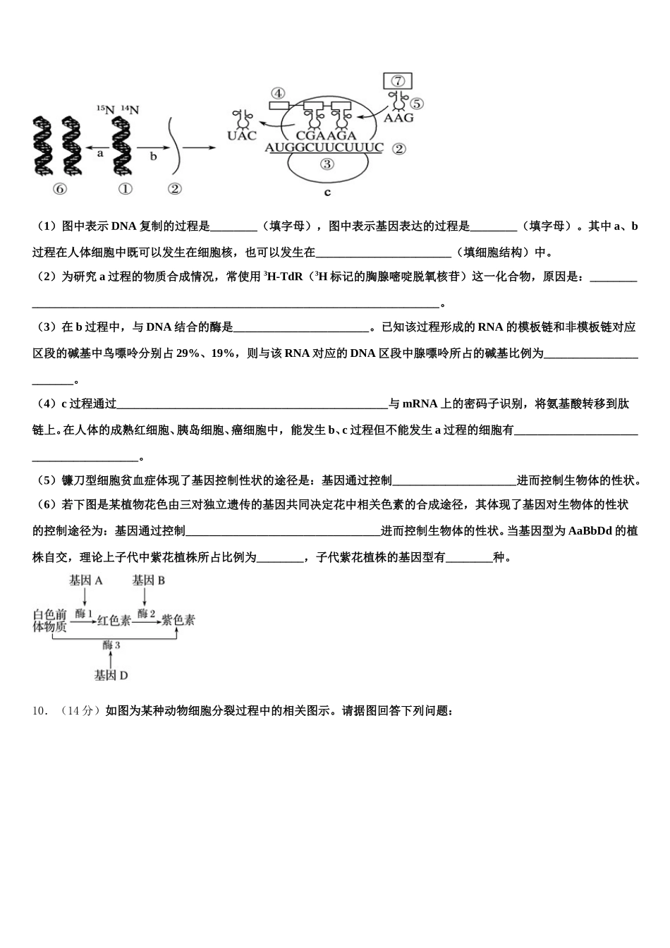 2025年江苏省连云港市赣榆区海头高中生物高一下期末质量检测模拟试题含解析_第3页