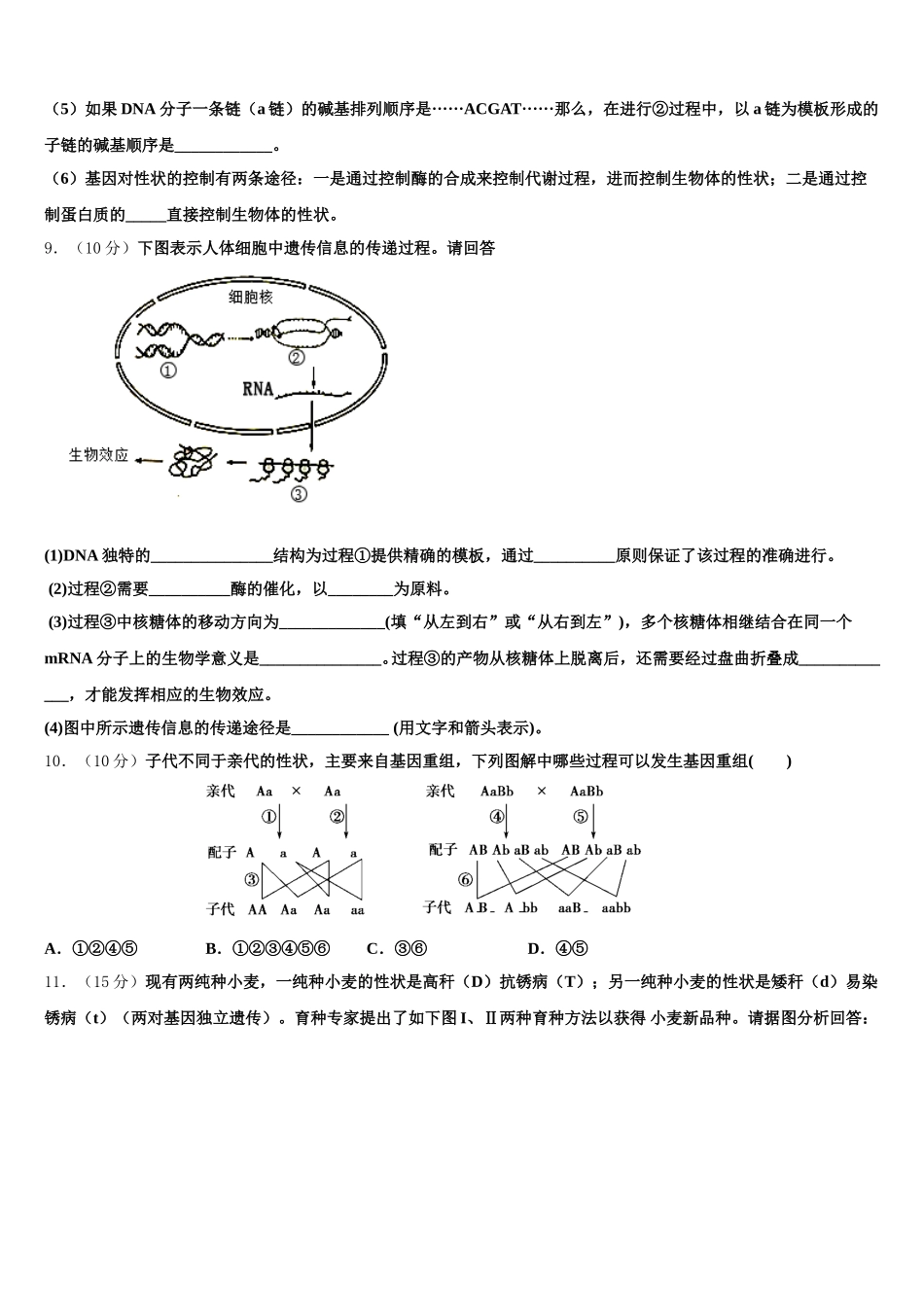 2025年江苏省如皋中学、徐州一中、宿迁中学三校生物高一下期末调研试题含解析_第3页