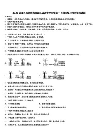 2025届江苏省扬州市邗江区公道中学生物高一下期末复习检测模拟试题含解析