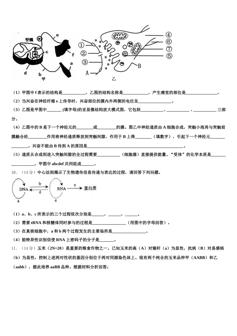 2025届江苏省南京市玄武区溧水中学高一生物第二学期期末联考模拟试题含解析_第3页