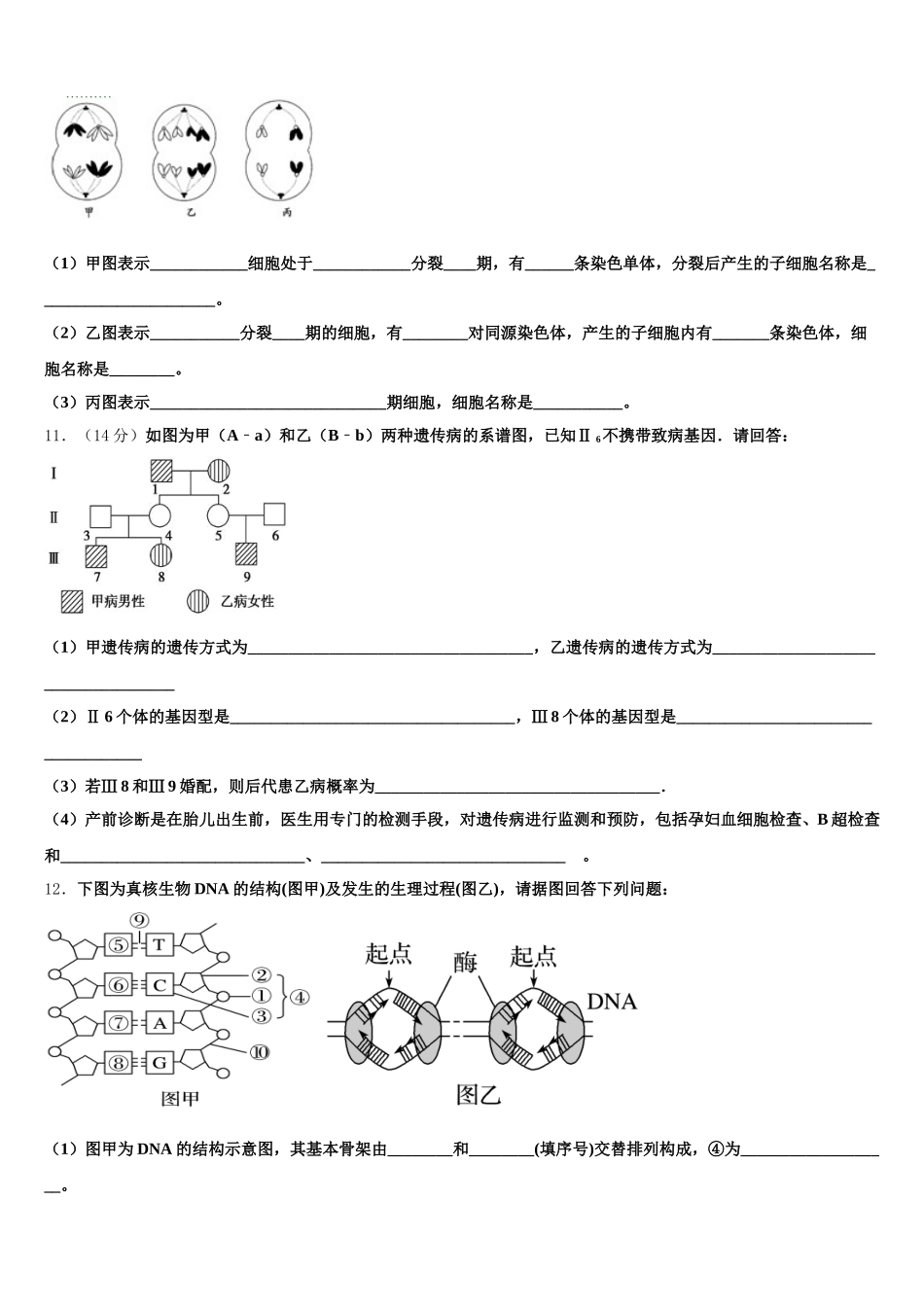 2025年江苏省常州市常州高级中学分校生物高一下期末质量检测试题含解析_第3页