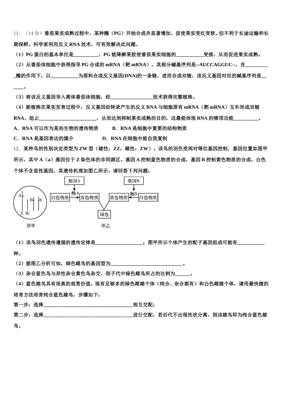 江苏省滨海县2025年高一下生物期末检测模拟试题含解析_第3页