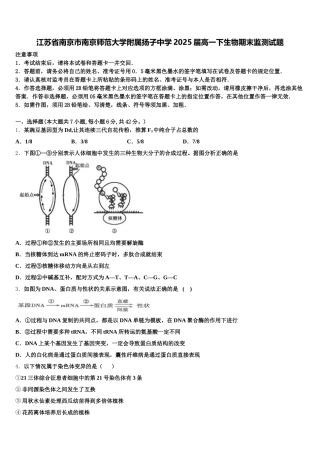 江苏省南京市南京师范大学附属扬子中学2025届高一下生物期末监测试题含解析