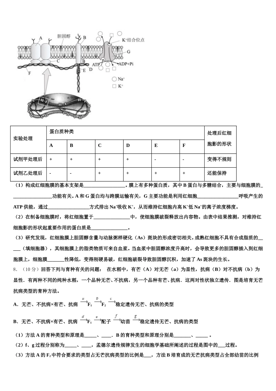 江苏省盐城市东台市2025年高一生物第二学期期末考试模拟试题含解析_第2页