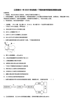江苏泰兴一中2025年生物高一下期末教学质量检测模拟试题含解析