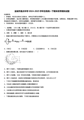 盐城市重点中学2024-2025学年生物高一下期末统考模拟试题含解析