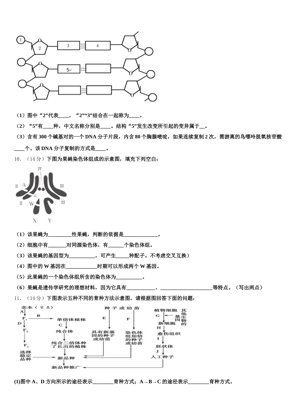 2025届宁夏平罗中学生物高一下期末综合测试试题含解析_第3页