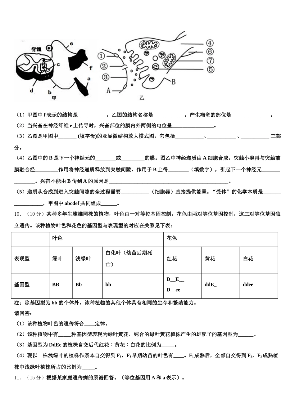 宁夏长庆中学2025年高一下生物期末监测试题含解析_第3页