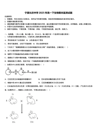 宁夏长庆中学2025年高一下生物期末监测试题含解析