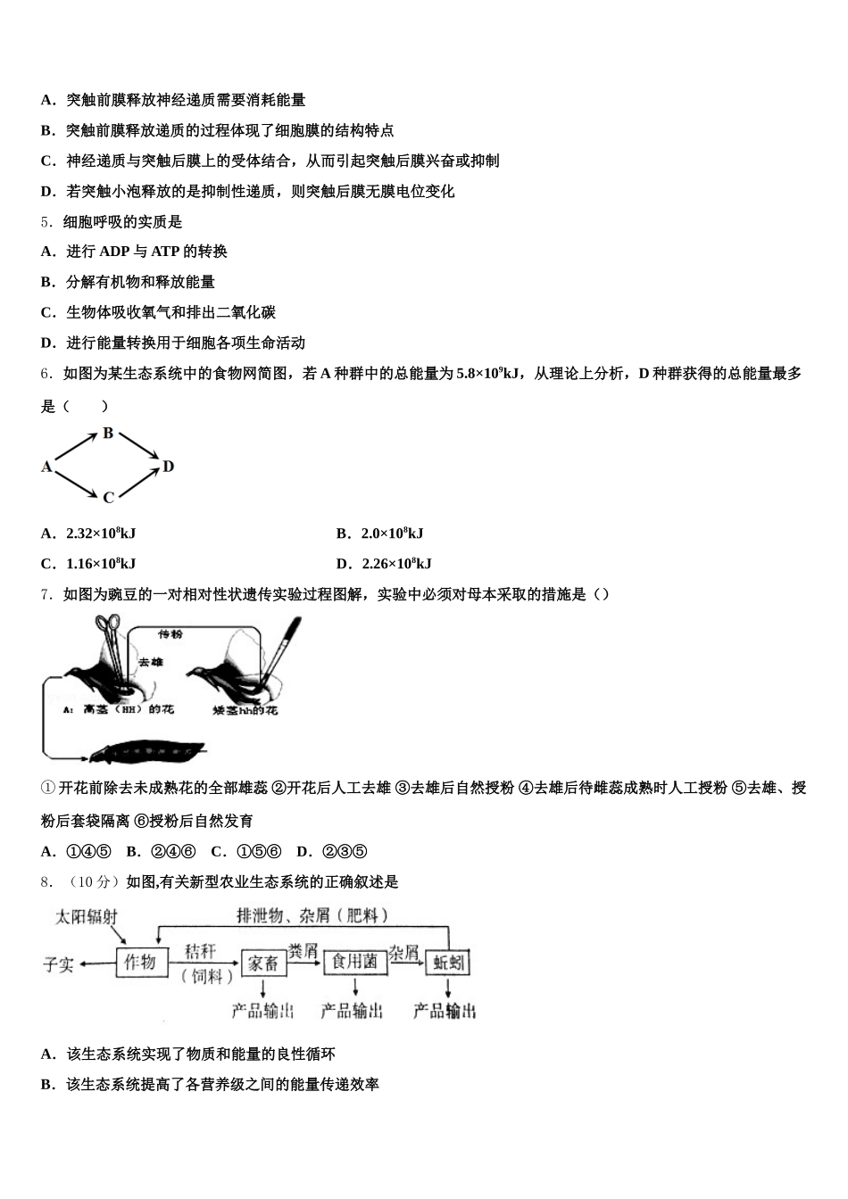 中卫市重点中学2024-2025学年高一下生物期末调研试题含解析_第2页