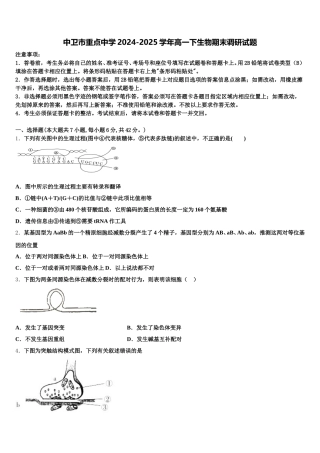 中卫市重点中学2024-2025学年高一下生物期末调研试题含解析