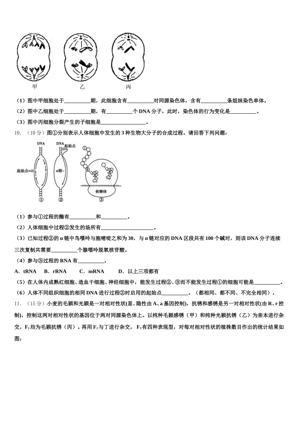 2025年宁夏石嘴山市三中高一生物第二学期期末学业水平测试试题含解析_第3页