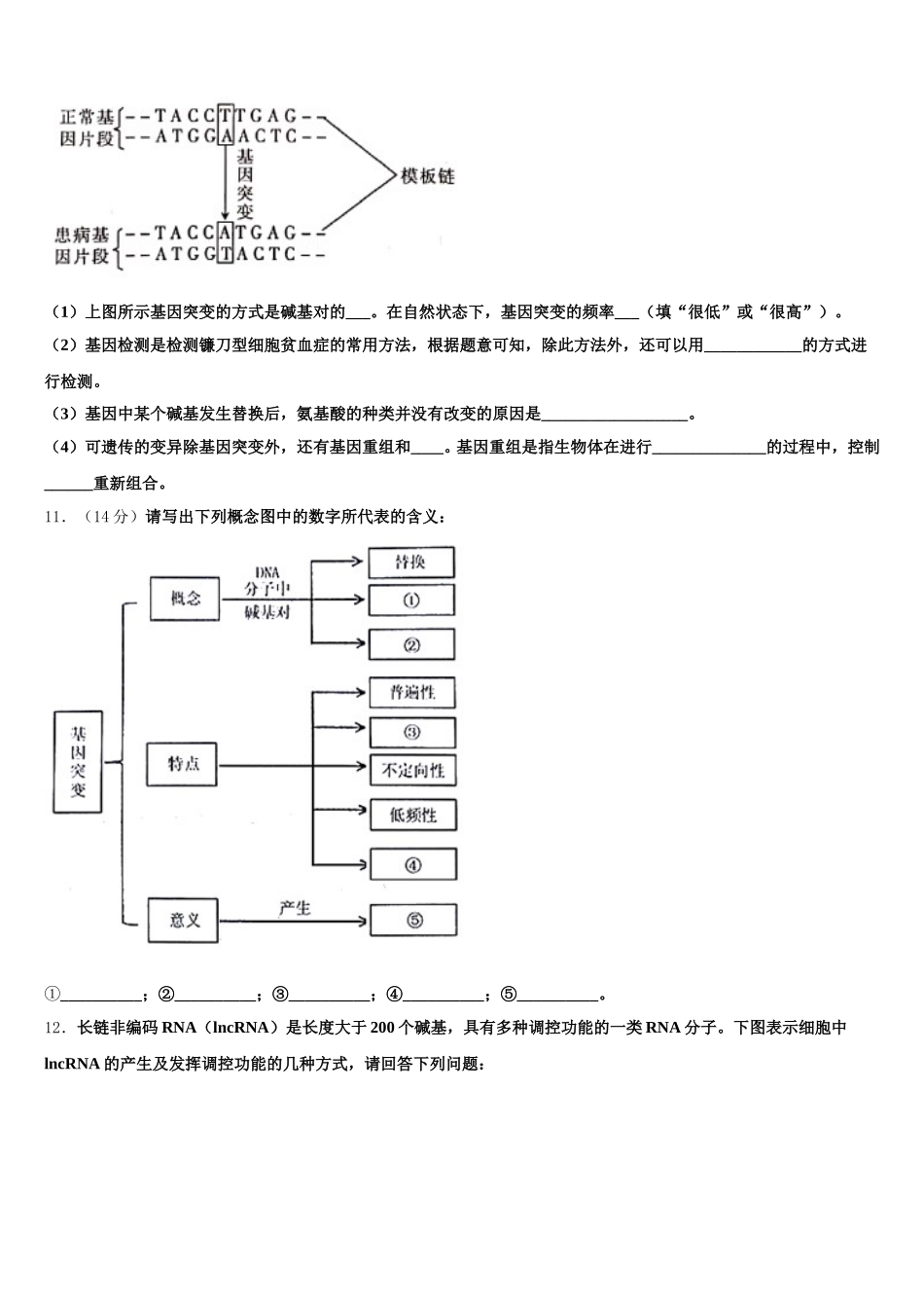 宁夏长庆高级中学2024-2025学年高一生物第二学期期末复习检测试题含解析_第3页