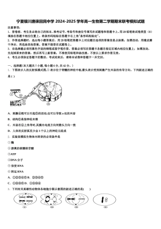 宁夏银川唐徕回民中学 2024-2025学年高一生物第二学期期末联考模拟试题含解析