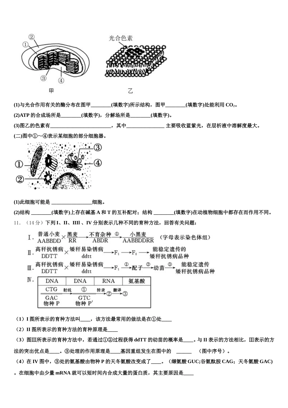 宁夏回族自治区育才中学2024-2025学年生物高一下期末复习检测试题含解析_第3页