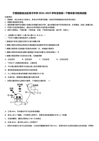 宁夏回族自治区育才中学2024-2025学年生物高一下期末复习检测试题含解析