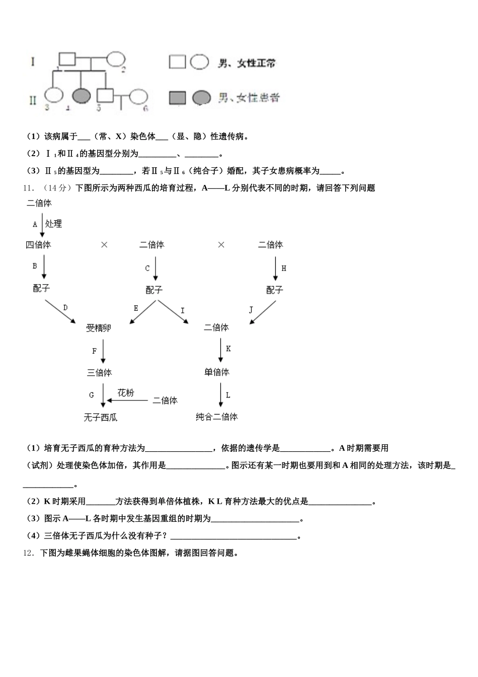 2025年宁夏银川市第九中学生物高一第二学期期末考试模拟试题含解析_第3页