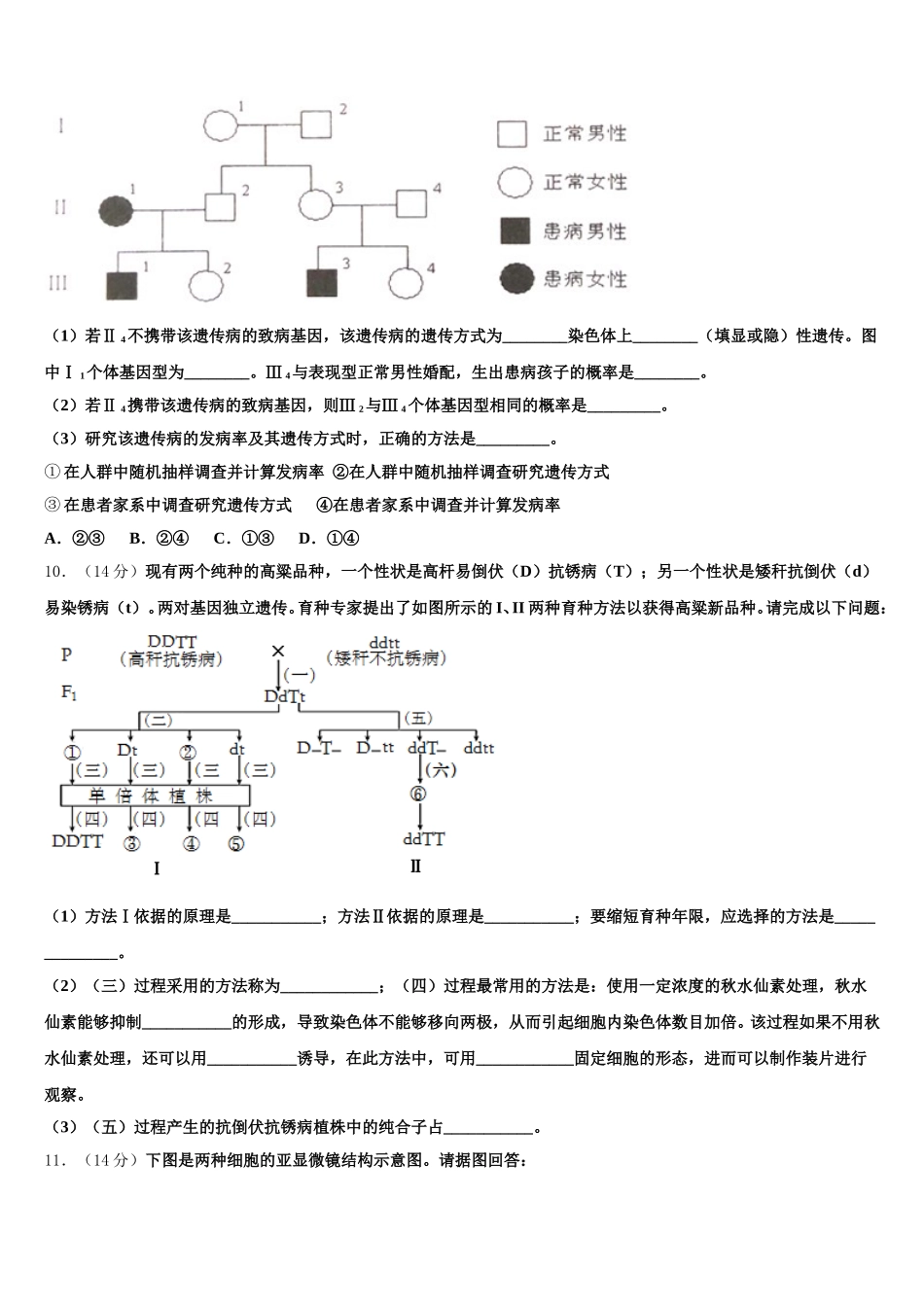 2024-2025学年宁夏省银川市高一生物第二学期期末质量跟踪监视试题含解析_第3页
