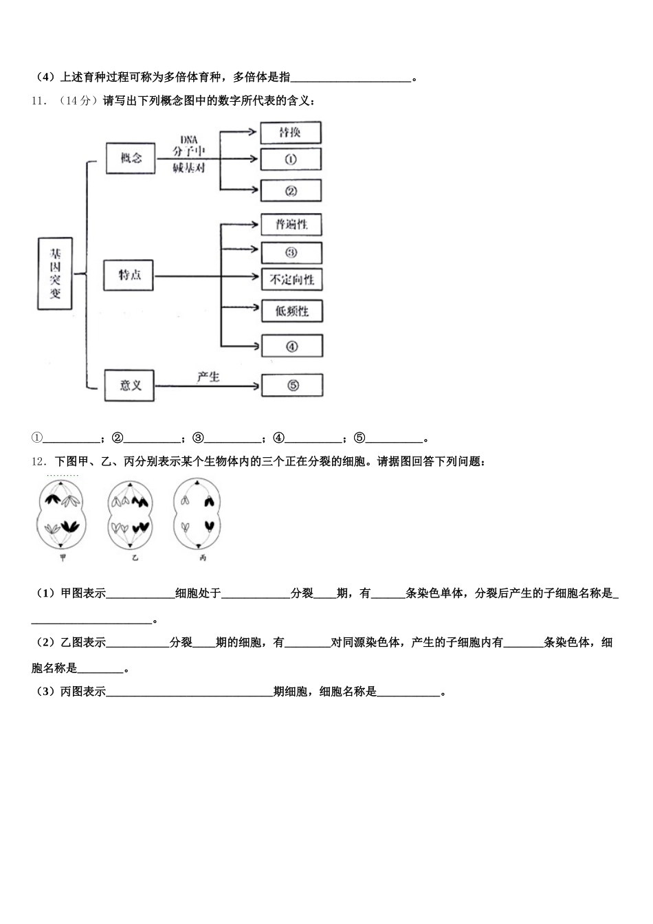 宁夏回族自治区银川市兴庆区高级中学2025届生物高一下期末复习检测试题含解析_第3页