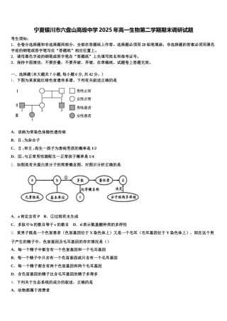 宁夏银川市六盘山高级中学2025年高一生物第二学期期末调研试题含解析