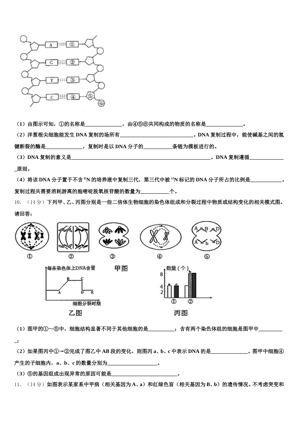 宁夏省石嘴山市2024-2025学年高一生物第二学期期末统考试题含解析_第3页