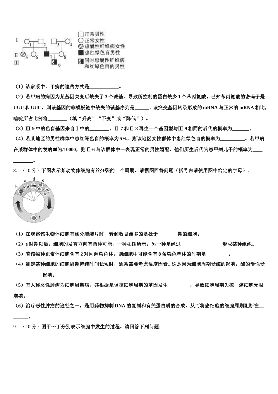 宁夏吴忠市2025年生物高一下期末复习检测试题含解析_第3页