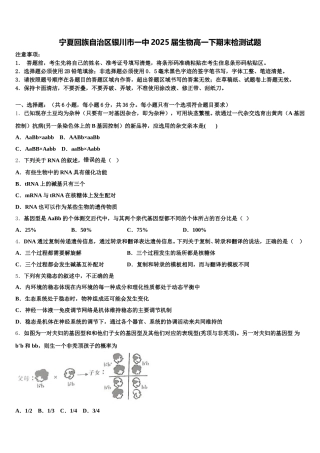 宁夏回族自治区银川市一中2025届生物高一下期末检测试题含解析