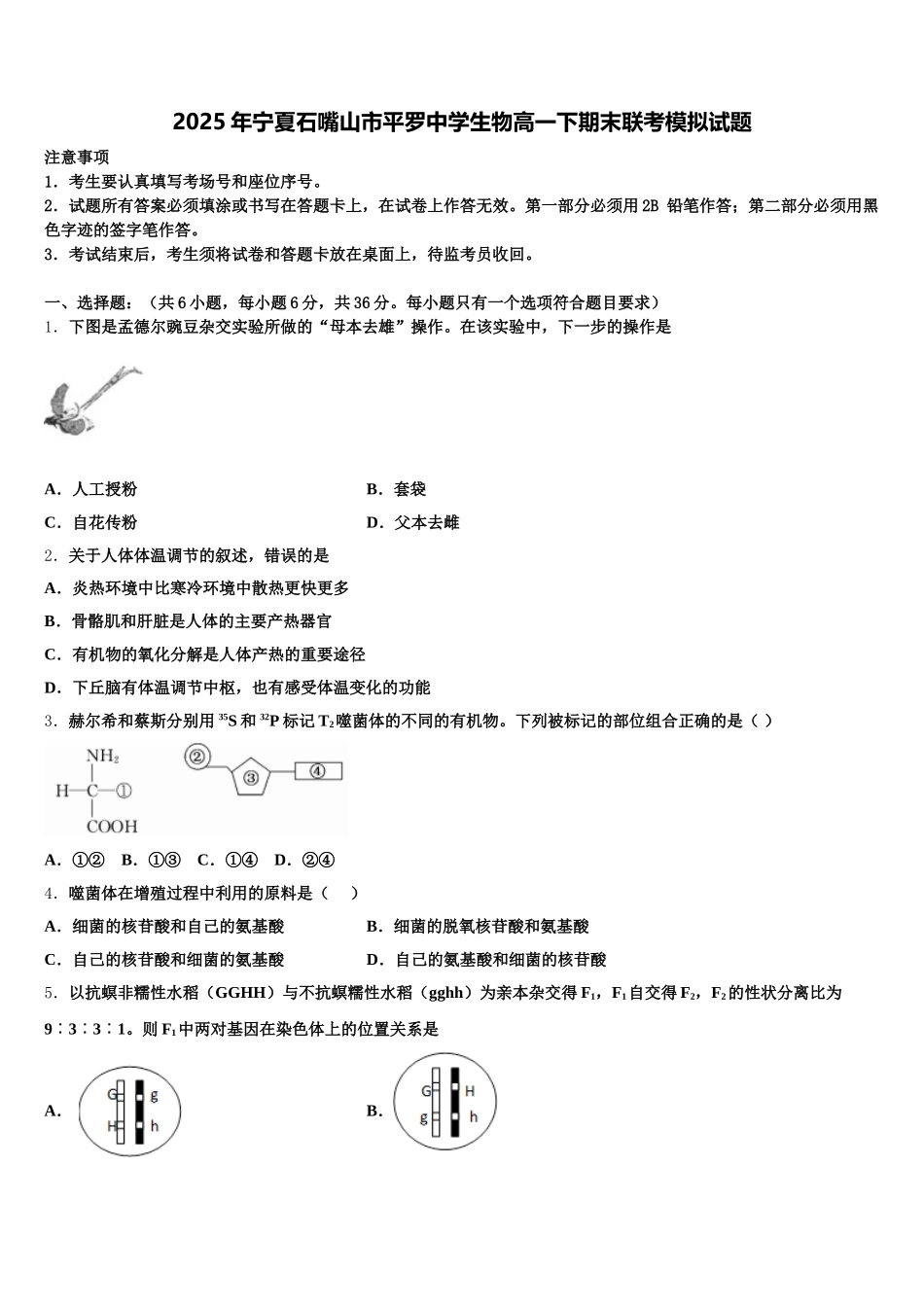 2025年宁夏石嘴山市平罗中学生物高一下期末联考模拟试题含解析_第1页