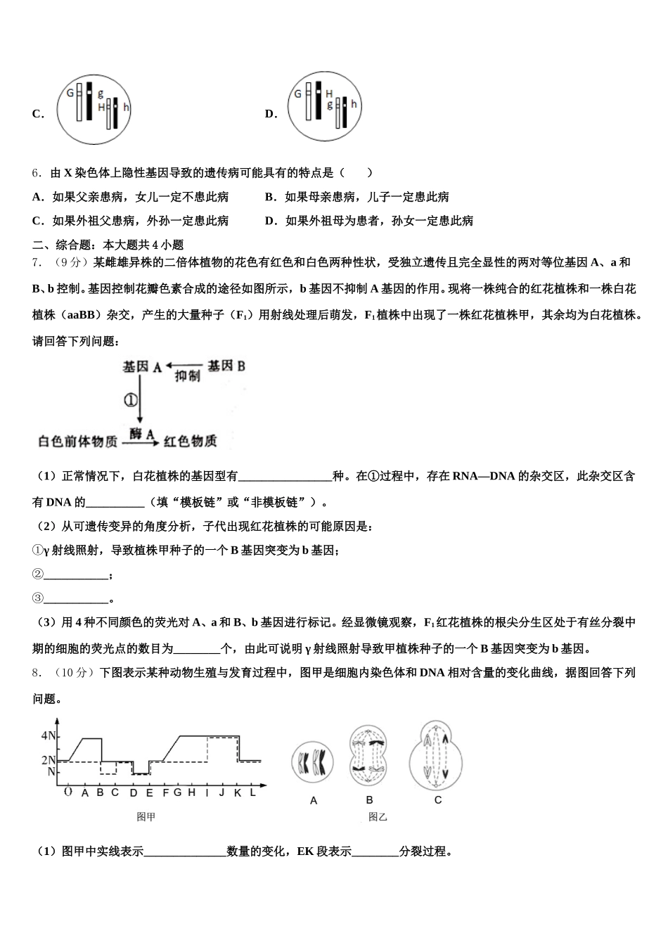2025年宁夏石嘴山市平罗中学生物高一下期末联考模拟试题含解析_第2页