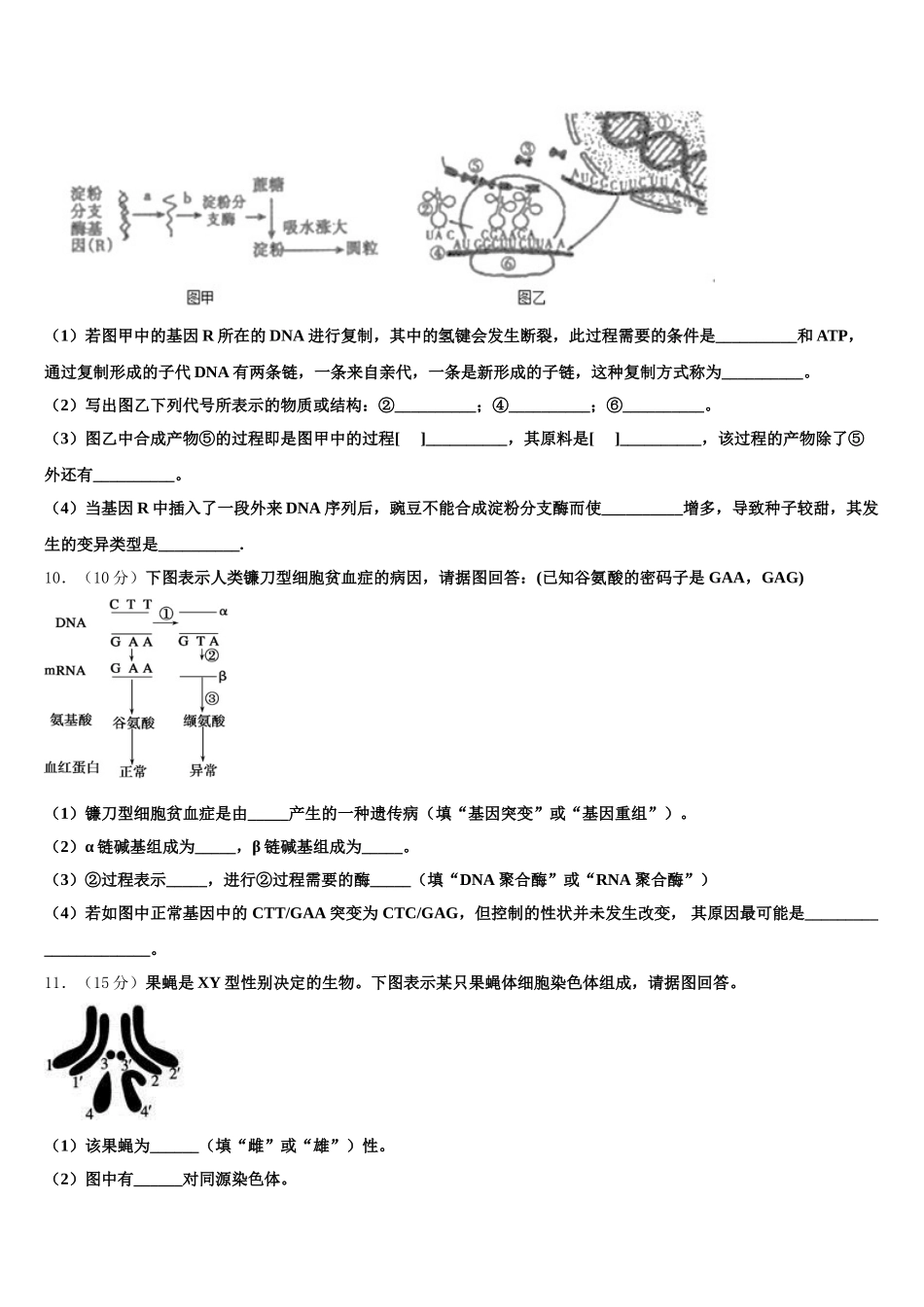 2025年宁夏省银川市生物高一下期末质量跟踪监视试题含解析_第3页