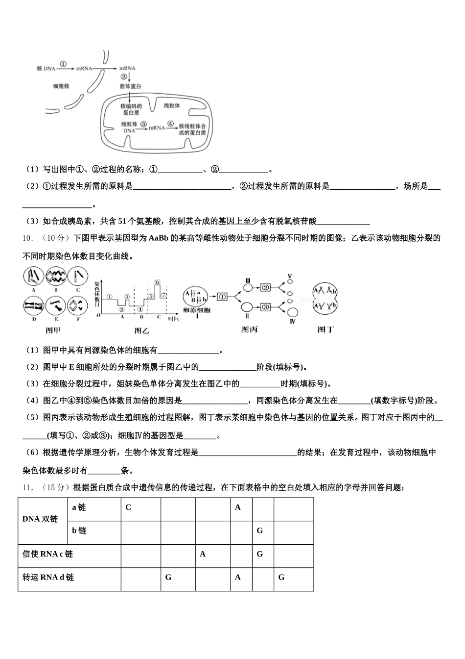 2025年宁夏回族自治区石嘴山市平罗县平罗中学高一下生物期末经典试题含解析_第3页