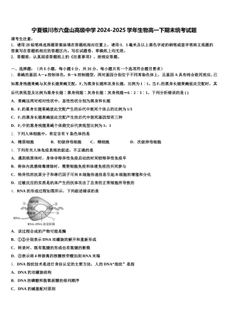 宁夏银川市六盘山高级中学2024-2025学年生物高一下期末统考试题含解析