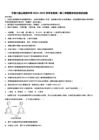 宁夏六盘山高级中学2024-2025学年生物高一第二学期期末综合测试试题含解析